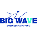 Big Wave Business Consulting logo