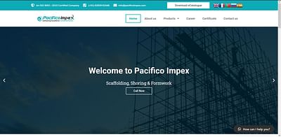 Website Design & Development for Pacifico Impex - Branding & Positioning