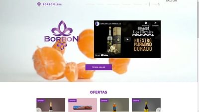 BORBON LTDA SITIO WEB - ECOMMERCE - Website Creation