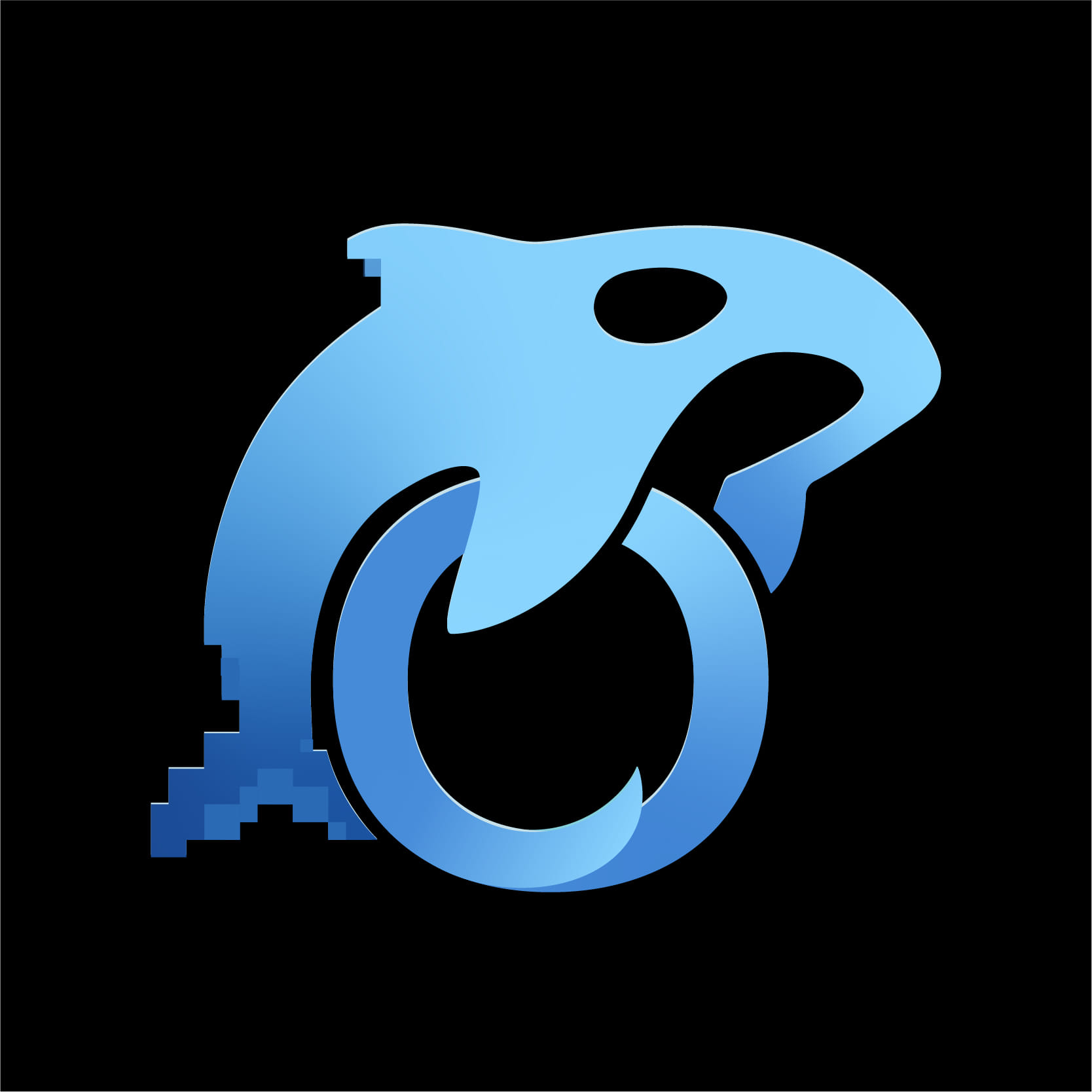 Orca Pings