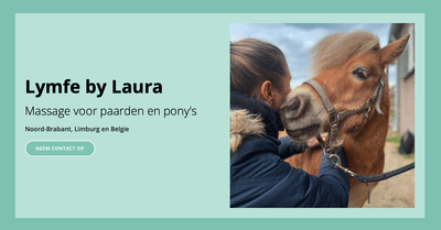 WordPress-website - Website Creatie