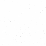 Duaal Studio logo