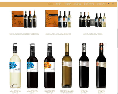 Tienda Online - Ecommerce - Bodega de Rioja - Creación de Sitios Web