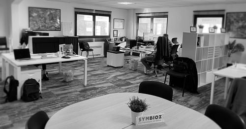 Symbioz cover