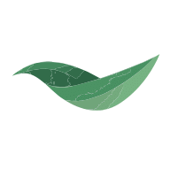 Wan Kee Information Technology
