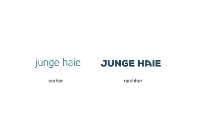 Junge Haie - Rebranding einer Technologie-Agentur - Webanwendung