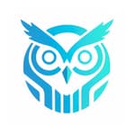 Boost Wise Agency logo