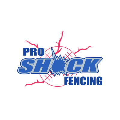 Professional Website Design for ProShock Fencing - Website Creatie