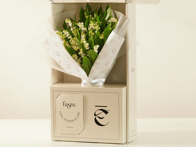 Eostre - Branding - Creazione di siti web