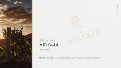 Terra Vinalis -Branding - Grafische Identiteit