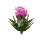 Thistle Industrial Services