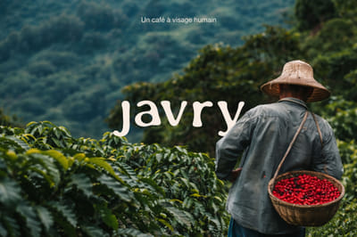 Branding - Identité Graphique - Javry - Website Creatie