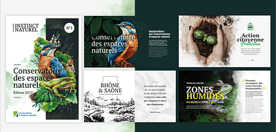 Création d'un magazine illustré - Design & graphisme