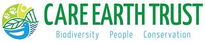 A Digital Makeover for a Greener Future - Website Creation