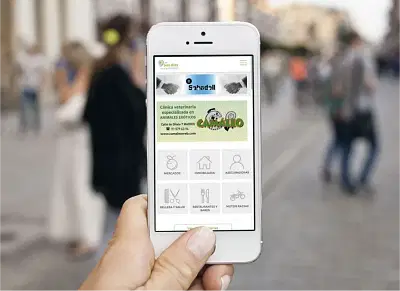 Portal Online en Madrid - SEO
