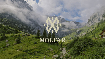 Identité visuelle Molfar - Design & graphisme