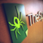 TheSpider