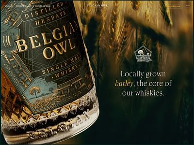 Belgian Owl - Création de site internet