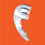 The Central Group logo