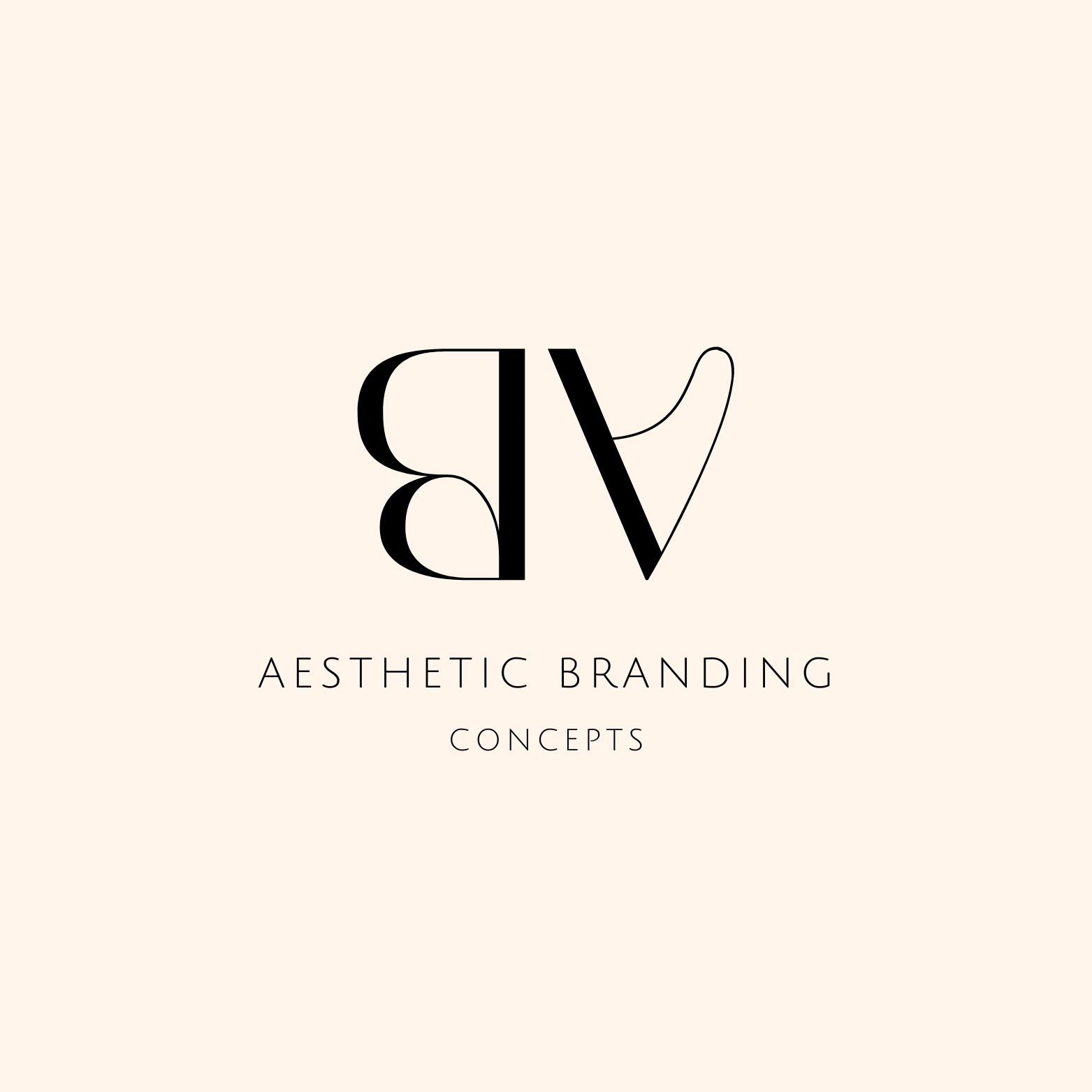 Aesthetic Branding Concepts