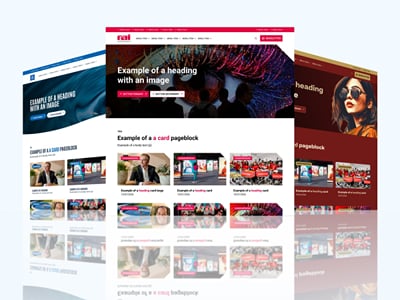 Een multi-brand design system voor RAI Amsterdam - Product Management