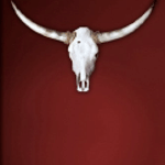 Vier für Texas