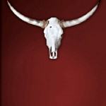 Vier für Texas