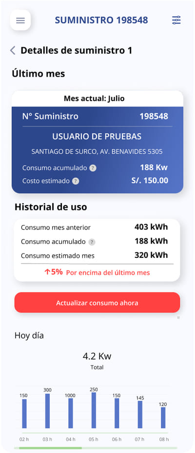 Smart Meter Data Integration & Management System - Software Entwicklung