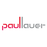 paullauer creative intelligence