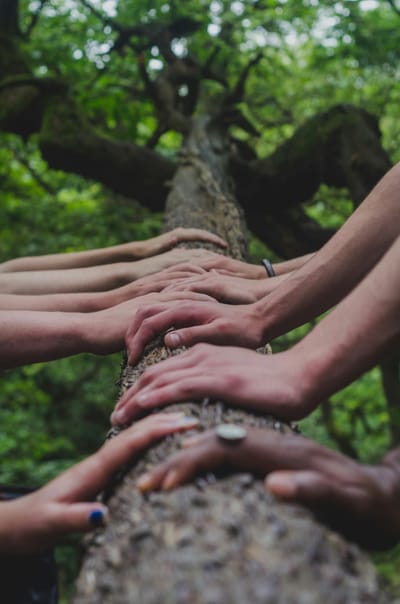 Building a community to increase visibility - Social media
