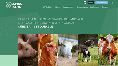 SITE INTERNET ET EXTRANET - Ergonomie (UX/UI)