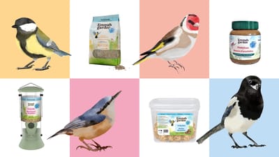 Emma's Garden - Packaging