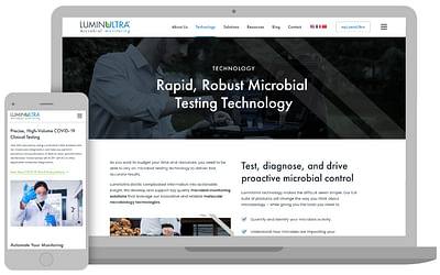 Market Opportunity Realized with Website Design - Website Creation