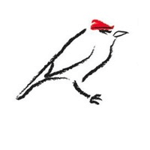 Firecrest Films logo