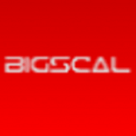 Bigscal Technologies Pvt Ltd logo