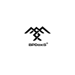 Bootstrap Paradox OPC Pvt. Ltd.