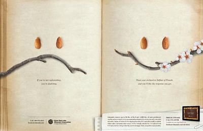 Almonds - Advertising