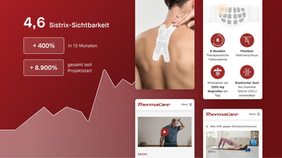 ThermaCare: Brand Building Through Strategic Content Creation - Estrategia de contenidos
