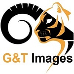G&T Images
