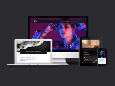 ILRES - Luxembourg's Market Research Leader - Website Creation