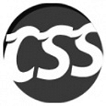 CSS PLAYER IT SOLUTIONS PVT LTD logo