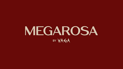 VAGA Dubai - Restaurant Business - Video Production