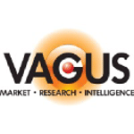VagusMRI LLC