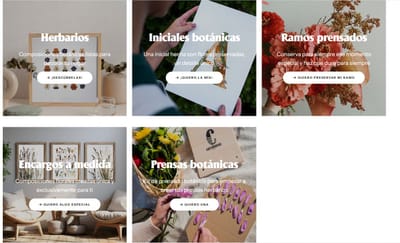 Ecommerce |Desarrollo y Optimización - Creación de Sitios Web
