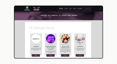 Angel investment platform development for BNP Paribas - Website Creation