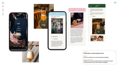Création du site internet des Animaux Bars - Création de site internet