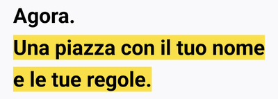 Una community digitale con regole, dati e pubblico proprietari - Software Ontwikkeling