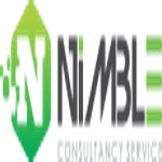 Nimble Consultancy Service logo