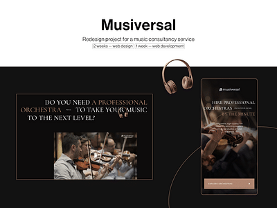 Redesign project for a music consultancy service - Web Application