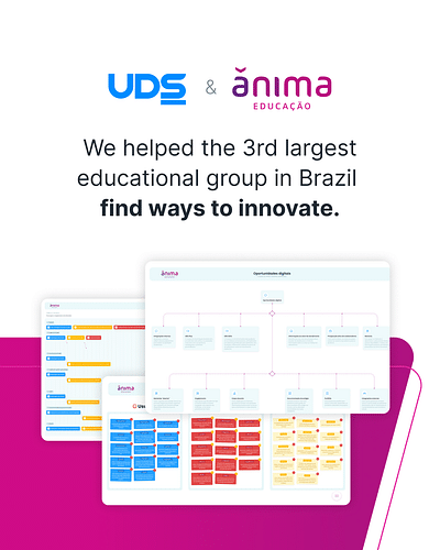 Project with Ânima - Software Entwicklung